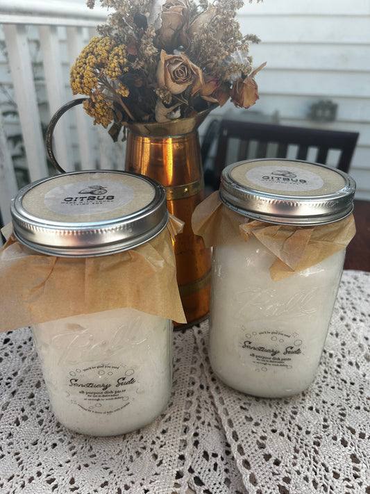 All-Purpose Dish Paste (detergent+)